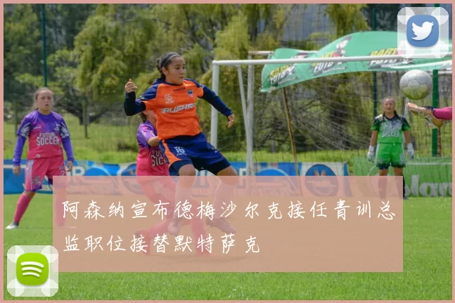 阿森纳宣布德梅沙尔克接任青训总监职位接替默特萨克